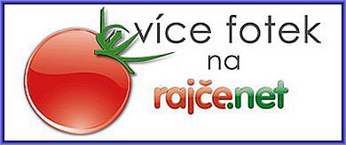 rajce-logo.jpg